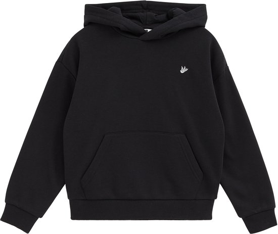 WE Fashion Jongens hoodie met embroidery