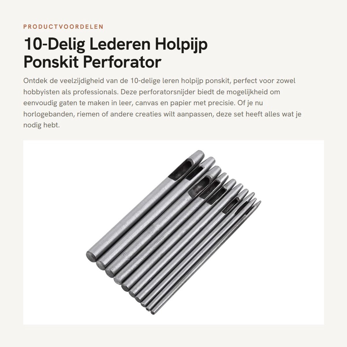Dailygoods- Ponskit 10-Delig - Perforatorsnijder voor Leer/Papier - Stalen Gat 0,5-5mm - Geschikt voor Riem/Canvas - Gewicht 180g - Lengte 10cm - Ponsgereedschap