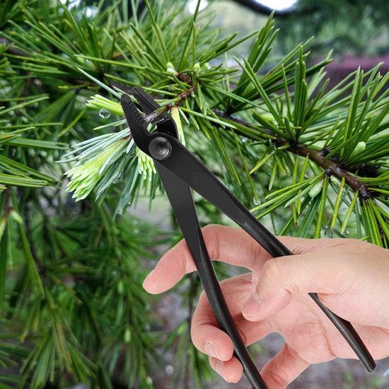 Bonsai Tang - Tuin Tang - Boom Modelleren - Afgeronde Uiteinden - 200mm Lengte - Zwart — afbeelding 2