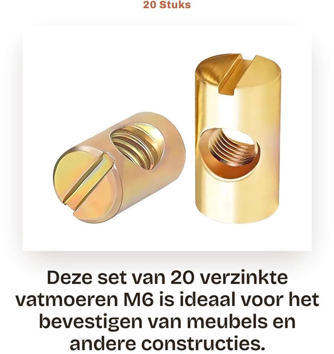Dailygoods- Vatmoeren 20 Stuks - Enkelvoudige Groef - Verzinkt - Koolstofstaal - Meubelmoeren - Sterk en Stabiel - Moeren