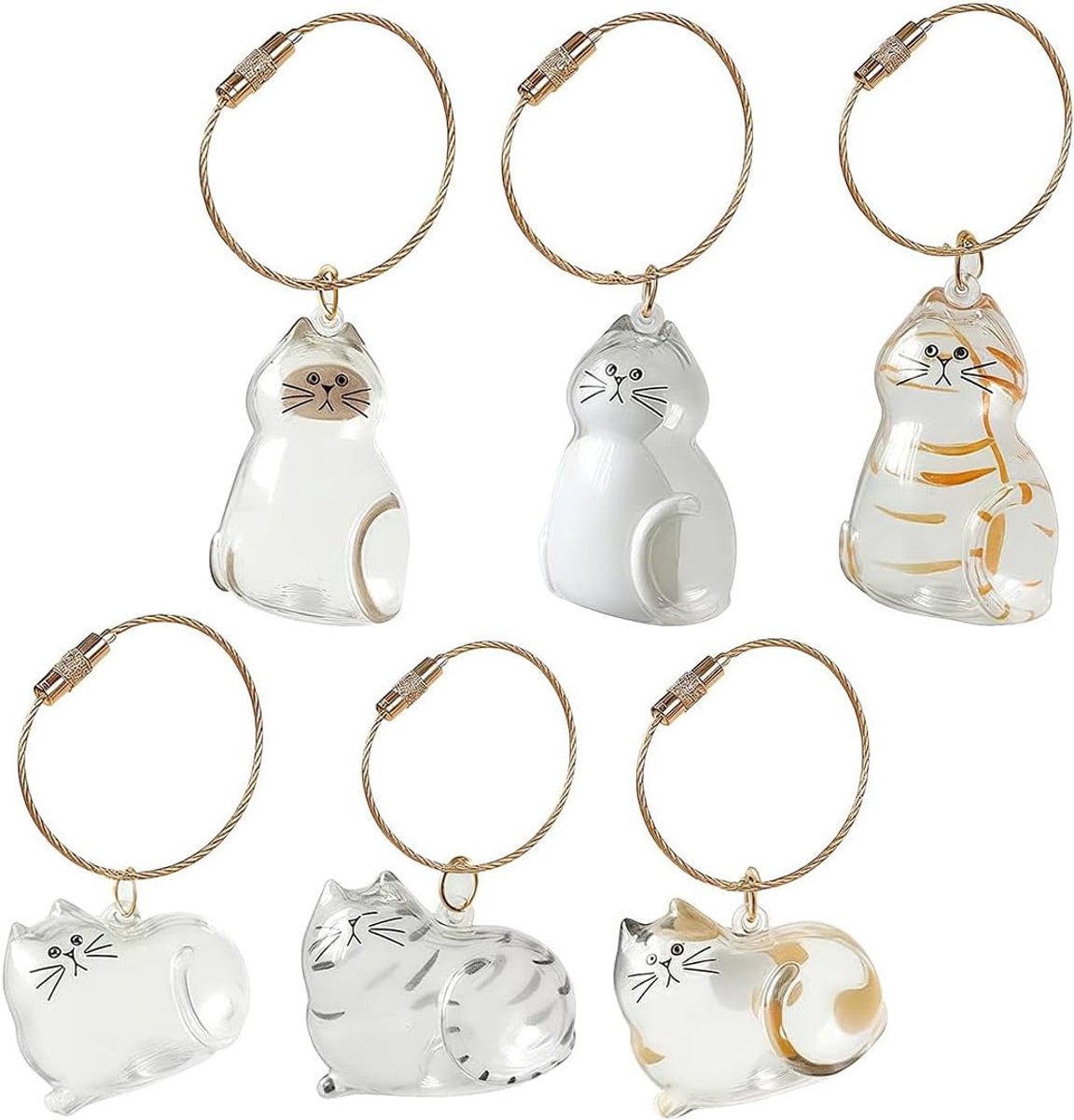Set van 6 kattenhaar sleutelhangers - transparante acryl haaropslagbox - dierlijke haar souvenir medaille - SnelShoppen