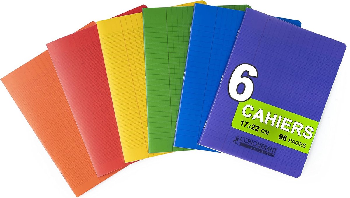 SnelShoppen - Notitieboekjes A6 - 6 Stuks - 96 Pagina's - 17 x 22 cm - 90 g - Ecolabel - Transparante Voorkant - Kleur: Blauw, Geel, Rood, Groen - Sch