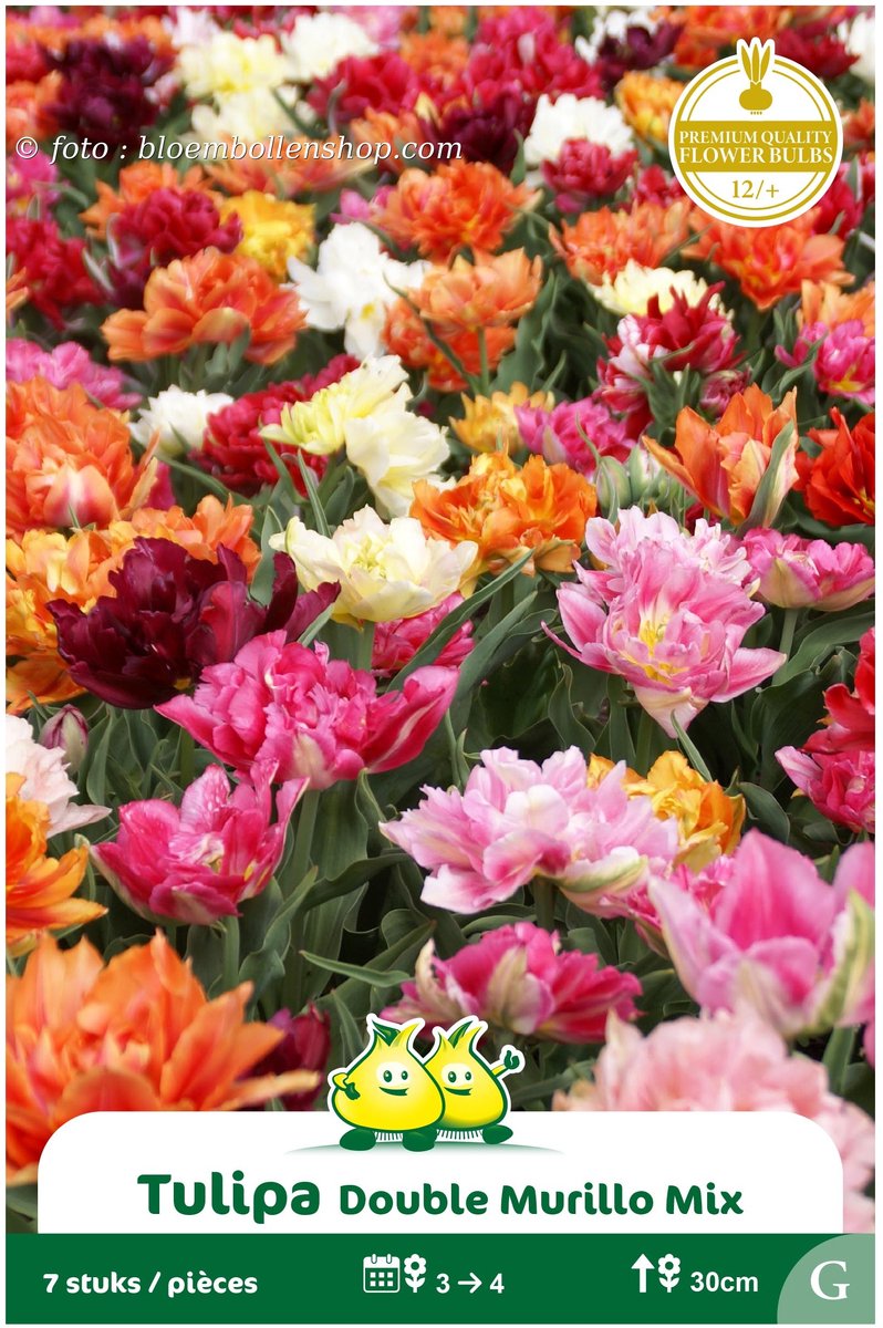 2 Zakjes Dubbele Vroege Tulpen Mix maat 12/+