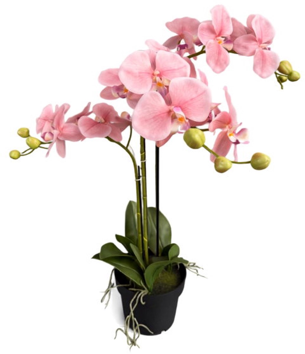 Orchidee new pink in pot H 60 cm kunstplant Oosterik Home