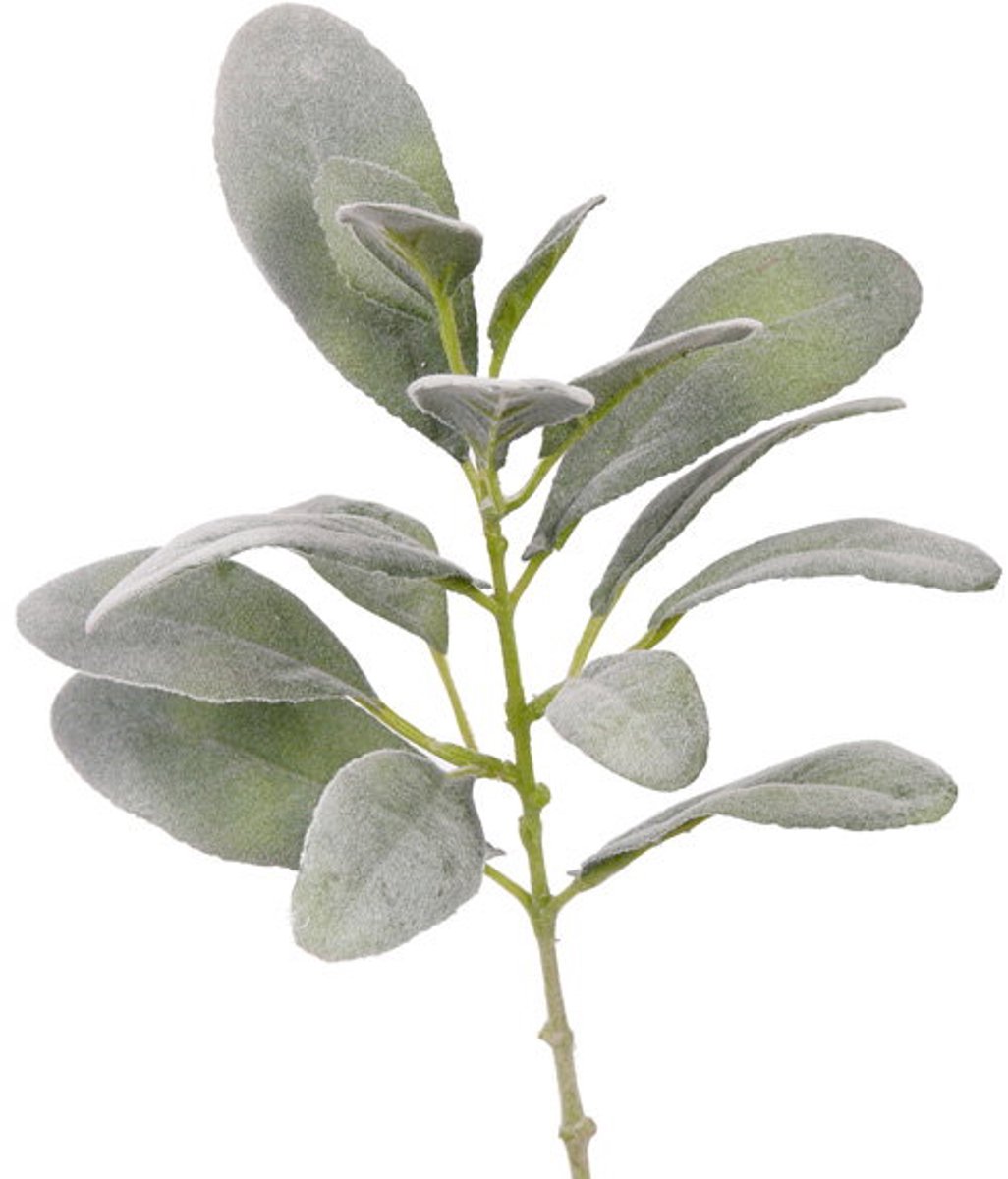 Top Art Lamsoor Limonium vulgare steek met 16 blaadjes 5x L/5x M/4x S/2x XS... paars