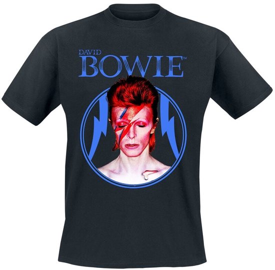 David Bowie Aladdin Circle Heren T-shirt - zwart - L