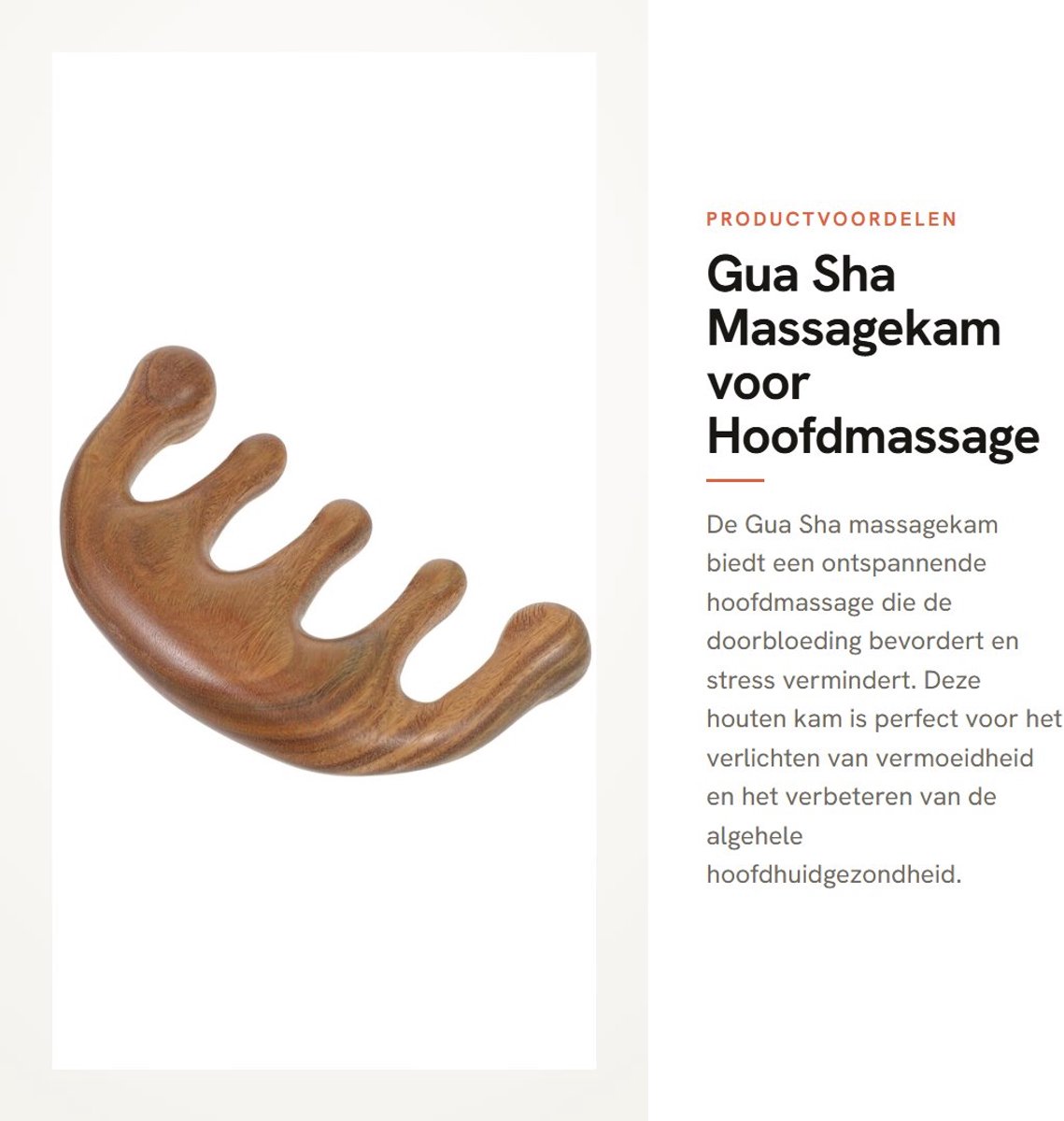 Dailygoods- Massagekam Ronde Kop - Hoofdmassage - Houten Kam - Brede Tandkam - Stressverlichting - Zacht en Veilig - Hoofdmassagekam