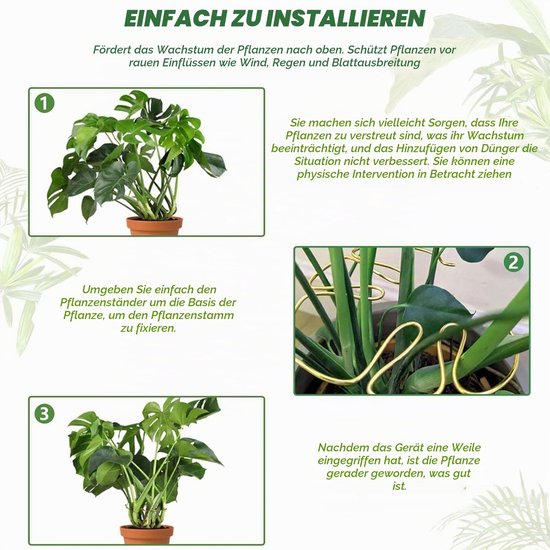 Pflantensteun 4-delig voor Monstera en andere kamerplanten — afbeelding 4