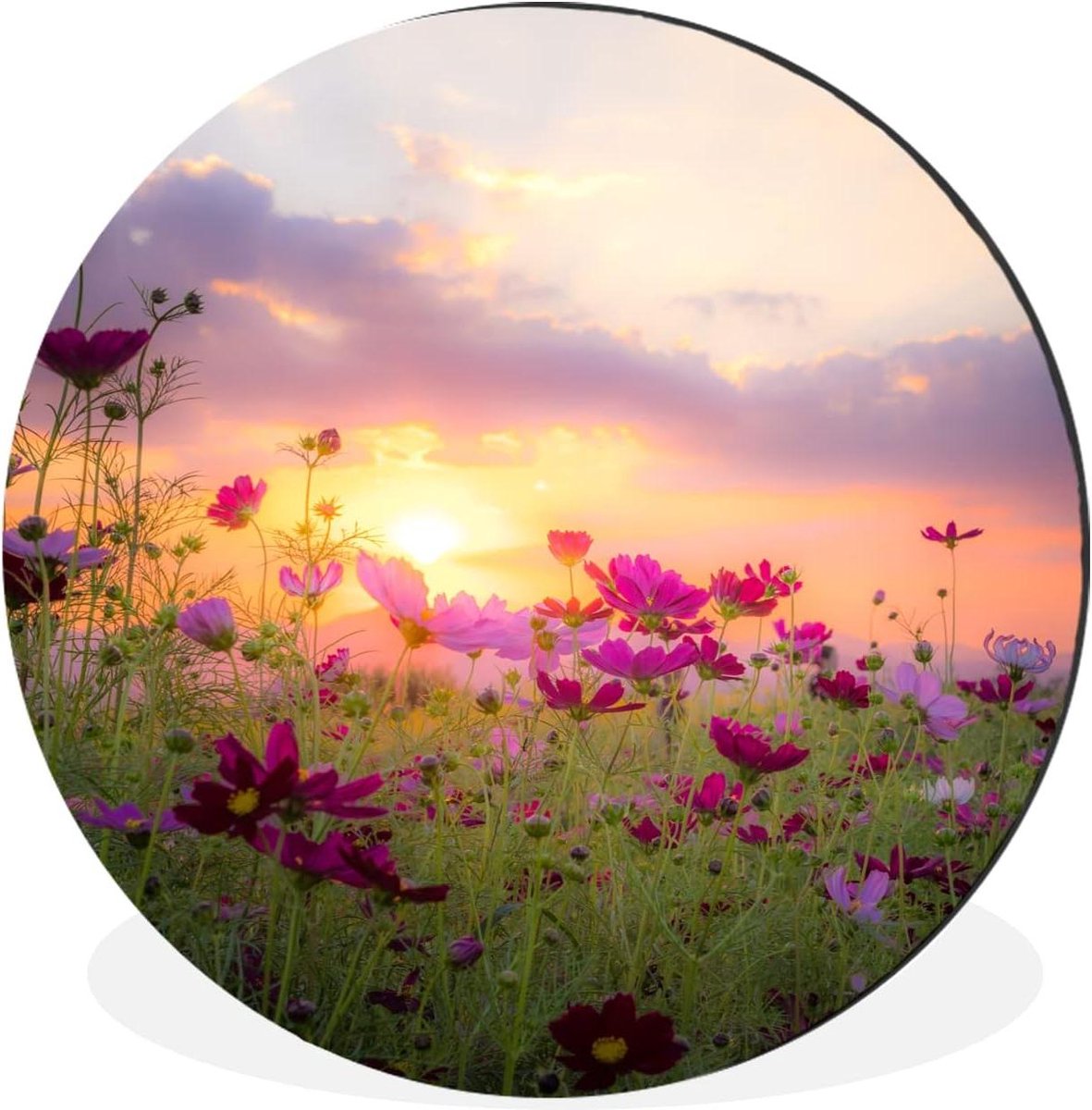 Wandcirkel Bloemen - Rond schilderij - Wanddecoratie - UV-print met felle kleuren - 90x90 cm - Multicolor