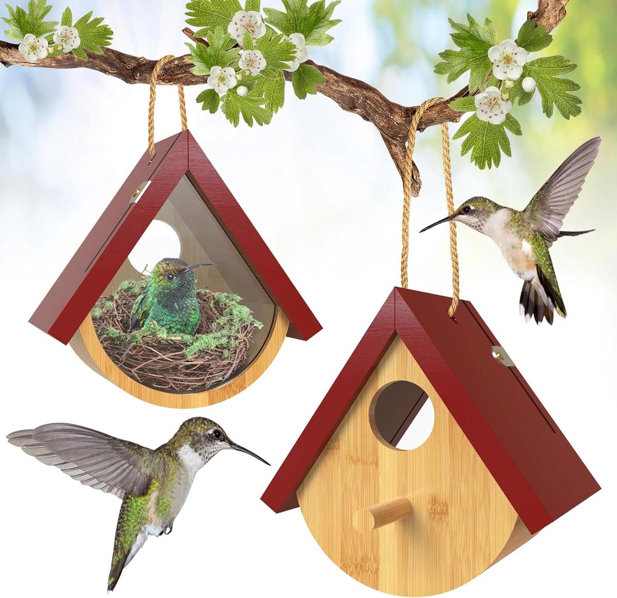 Vogelhuisjes - Vogelhuisjes voor buiten - Natuur observeren - Transparant kijkvenster - 2 stuks - Rood