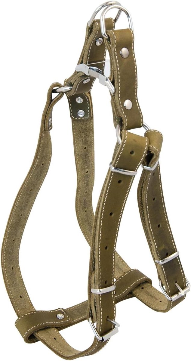 Hondenharnas Leer - Honden tuigje - Comfortabele Wandelingen - Individuele Pasvorm - 40-60 cm - Groen