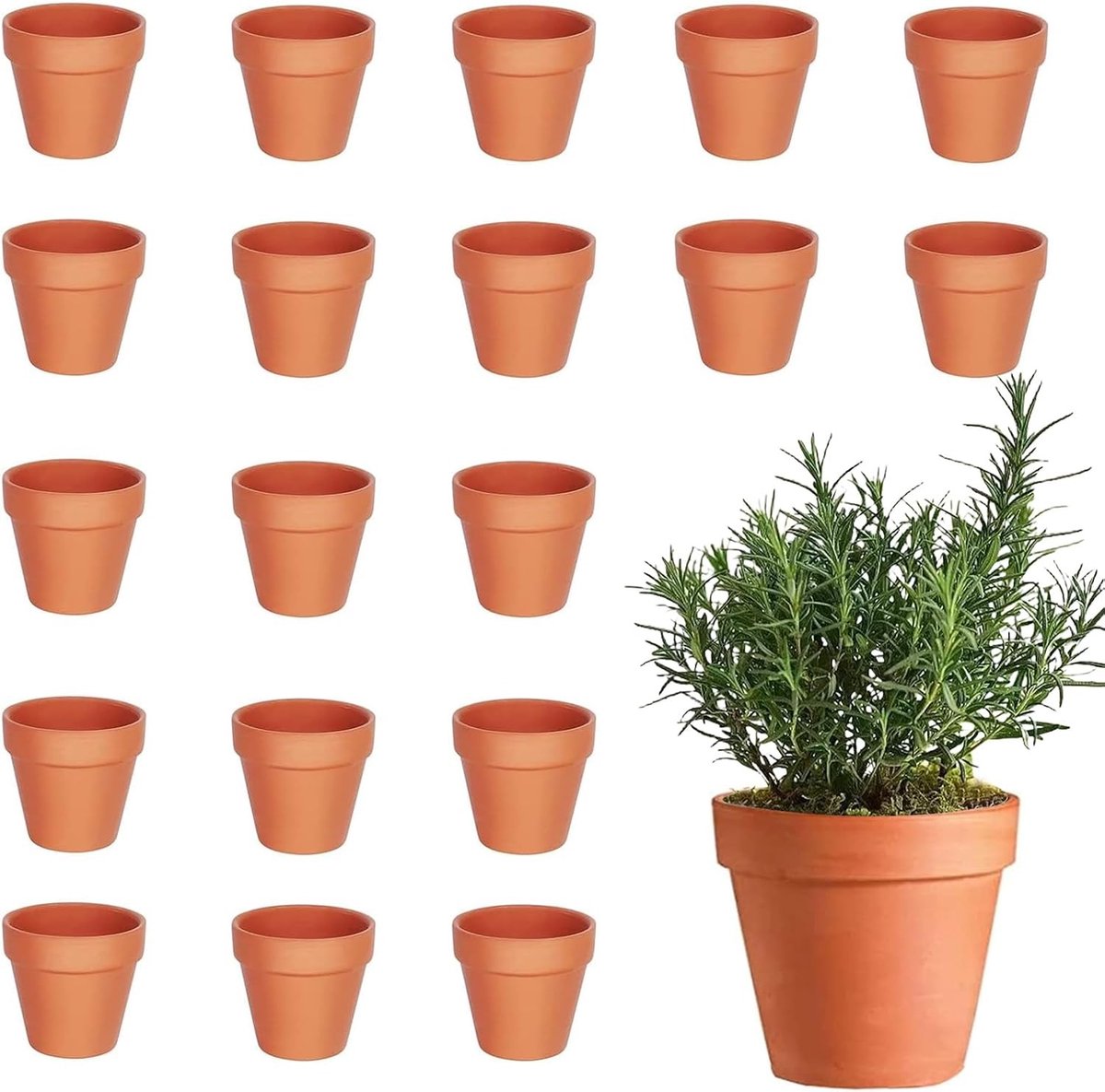 20 Mini Kleipotten 4.5x4cm met Afvoergaten | Ideaal voor Succulenten, Zaailingen en Tuinieren