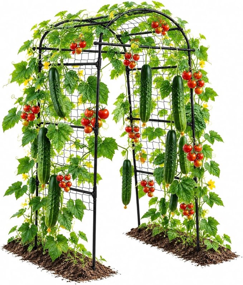 HOERFURIY compact boogvormig klimrek PE+metaal 205×90×80 cm met kruisclips – steun voor klimbloemen, tomaten en klimgroenten op balkon en in kleine tuinen