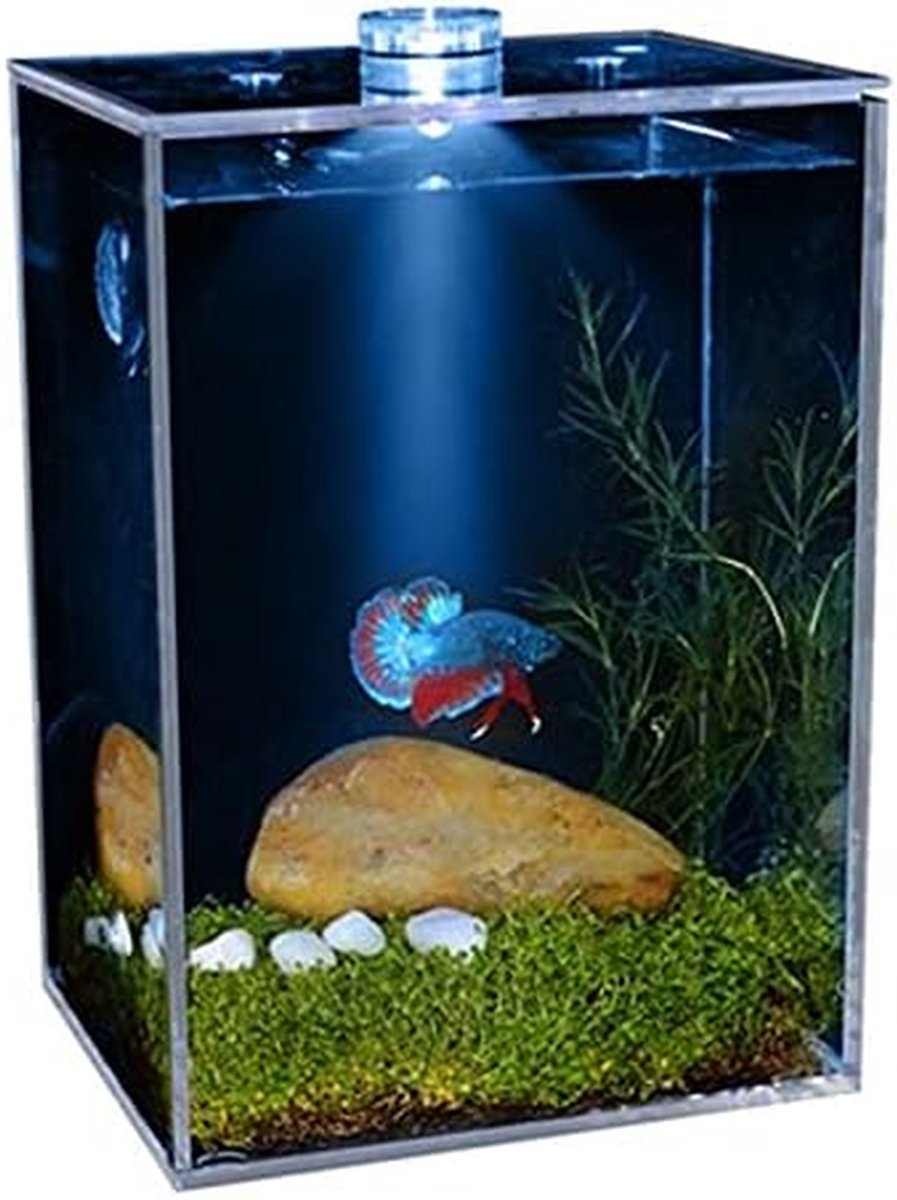 Vissenkom Vierkant - Aquarium Tank - Vissen Houden - Super Transparant - M - Wit