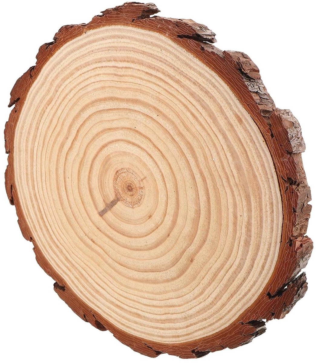 Houten Stapstenen - Tuinpad Stenen - Tuin Decoratie - Antislip Oppervlak - 27 x 26 x 2 cm - Beige