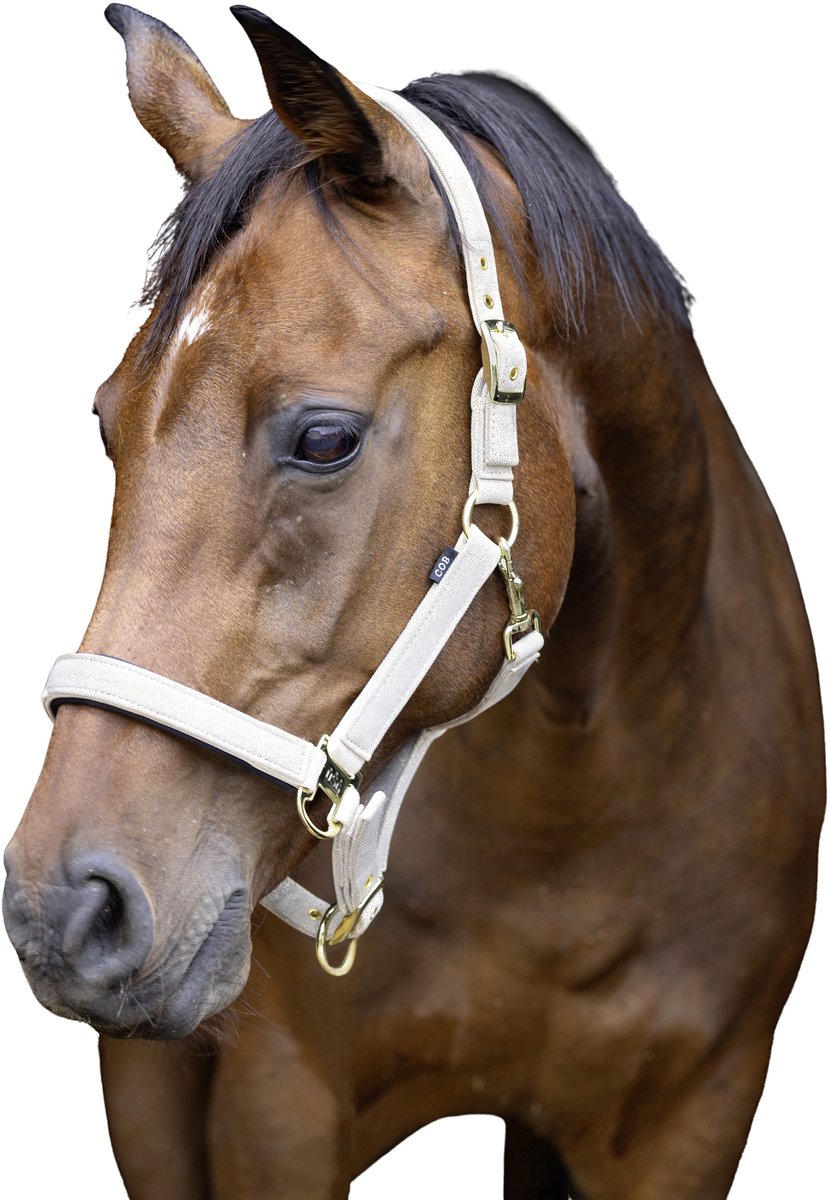 Halster voor paarden Onyx Onyx