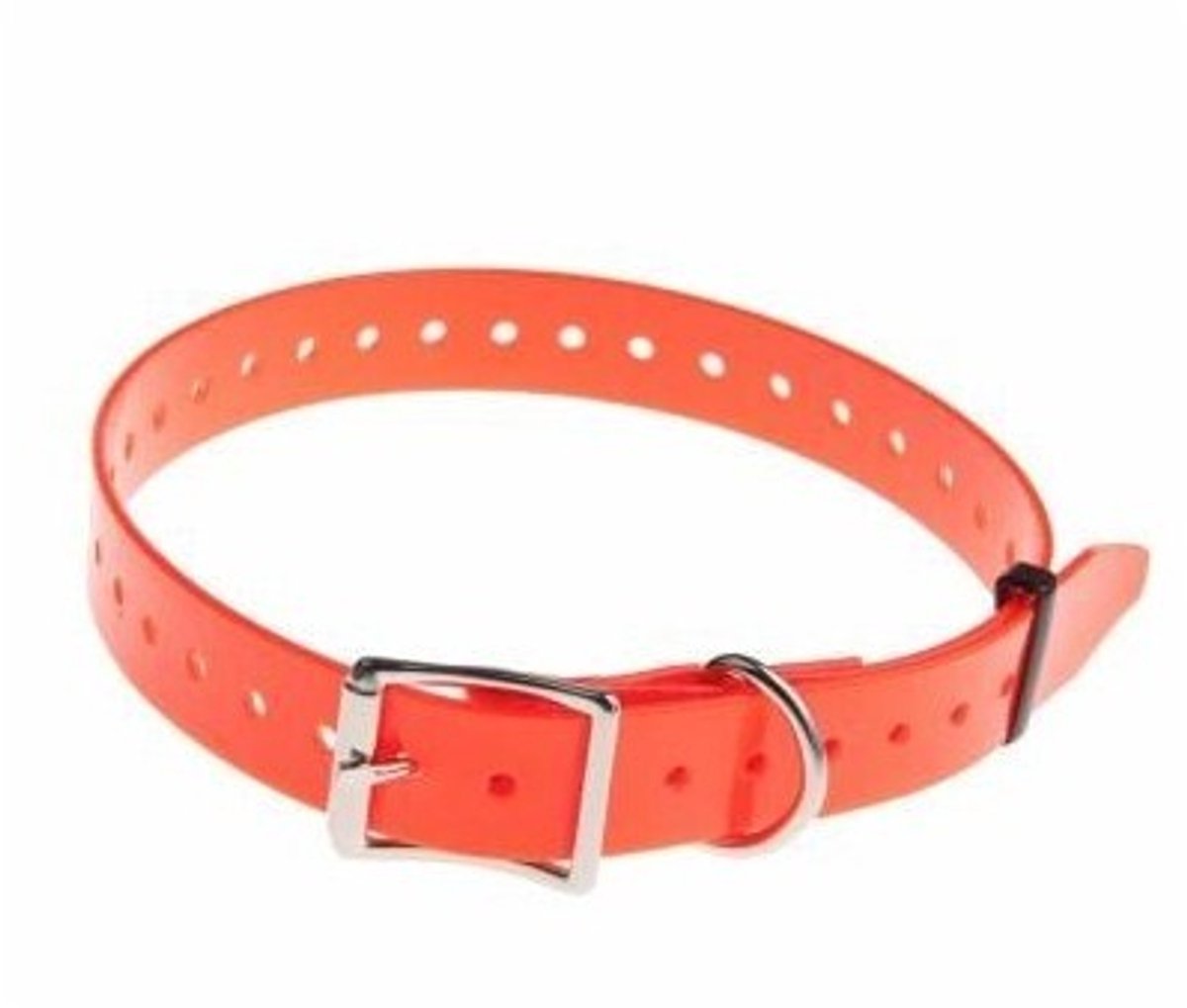 Polyurethaan riem Num'axes Fluo