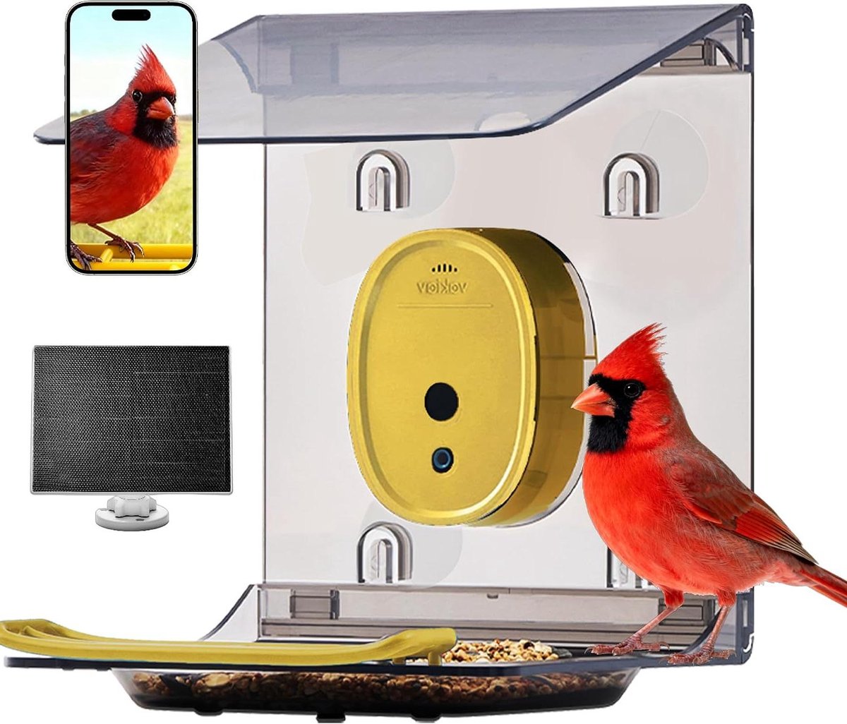 Slimme Vogelvoeder Camera - Vogelhuisje Camera - Vogels Observeren - AI Vogelherkenning - 2K UHD Video - Geel