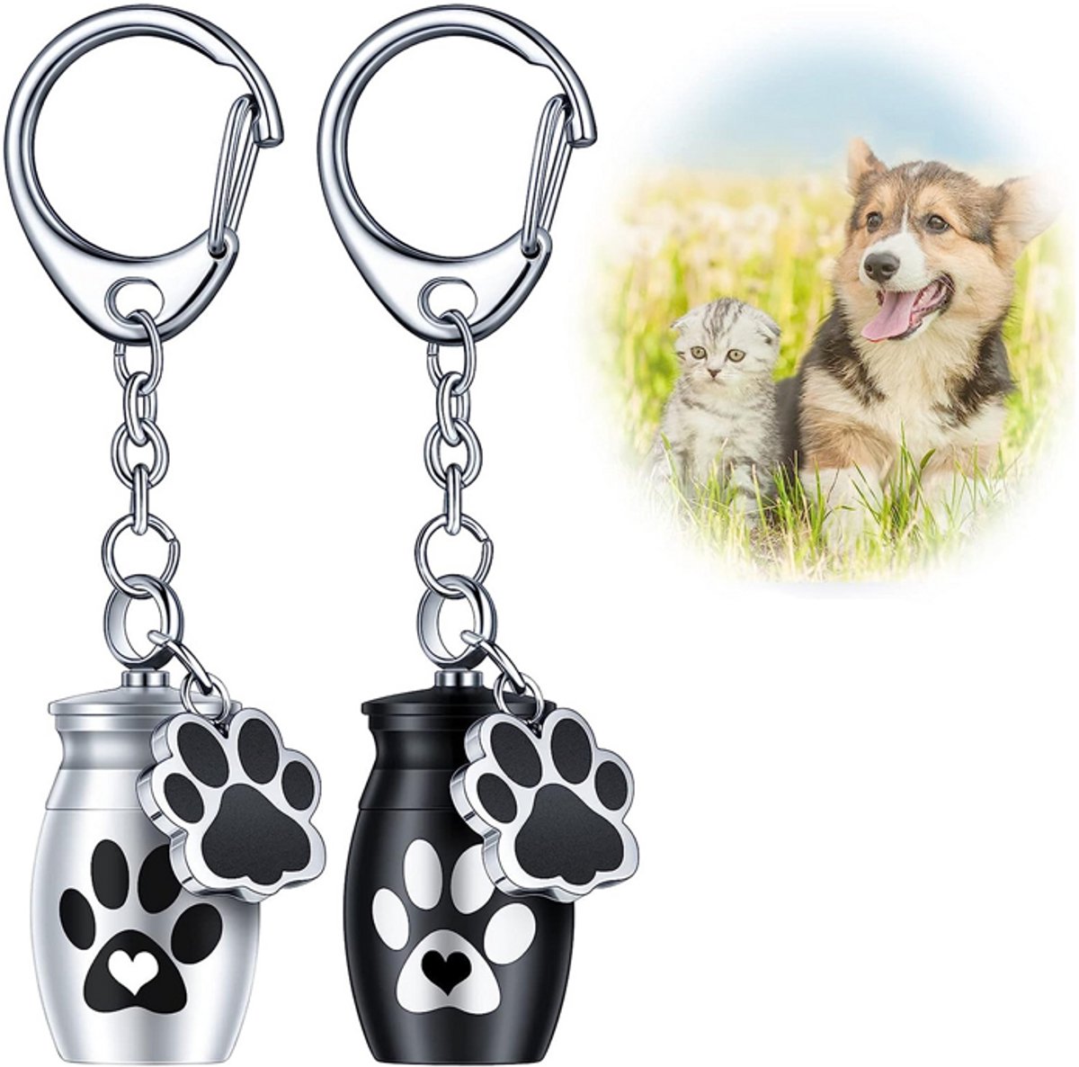 Luxe Ashanger - 2 Stuks - Geschikt Voor As, Haren of Parfum - Met Ketting - Assieraad - As Ketting - Gedenksieraad - As Vuller - Van Bijvoorbeeld Honden En Katten, Stofresten, Aarde, As, Haar, Nagels,In Te Bewaren