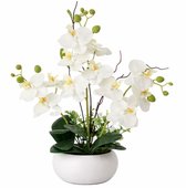 Kunstorchidee in Keramieken Pot 36 cm – Witte Phalaenopsis Kunstplant met Zijden Bloemen voor Woonkamer, Bureau en Tafeldecoratie