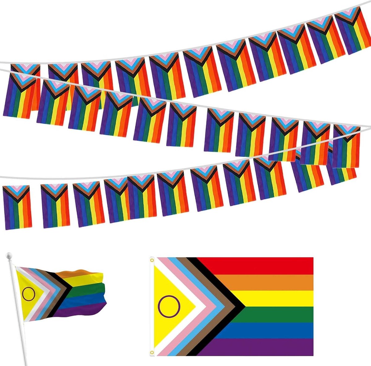 set 1 stuk + 38 kleine vlaggetjes 10 m, 90×150 cm, kleurrijke Pride feestdecoratie voor kamer en tuin