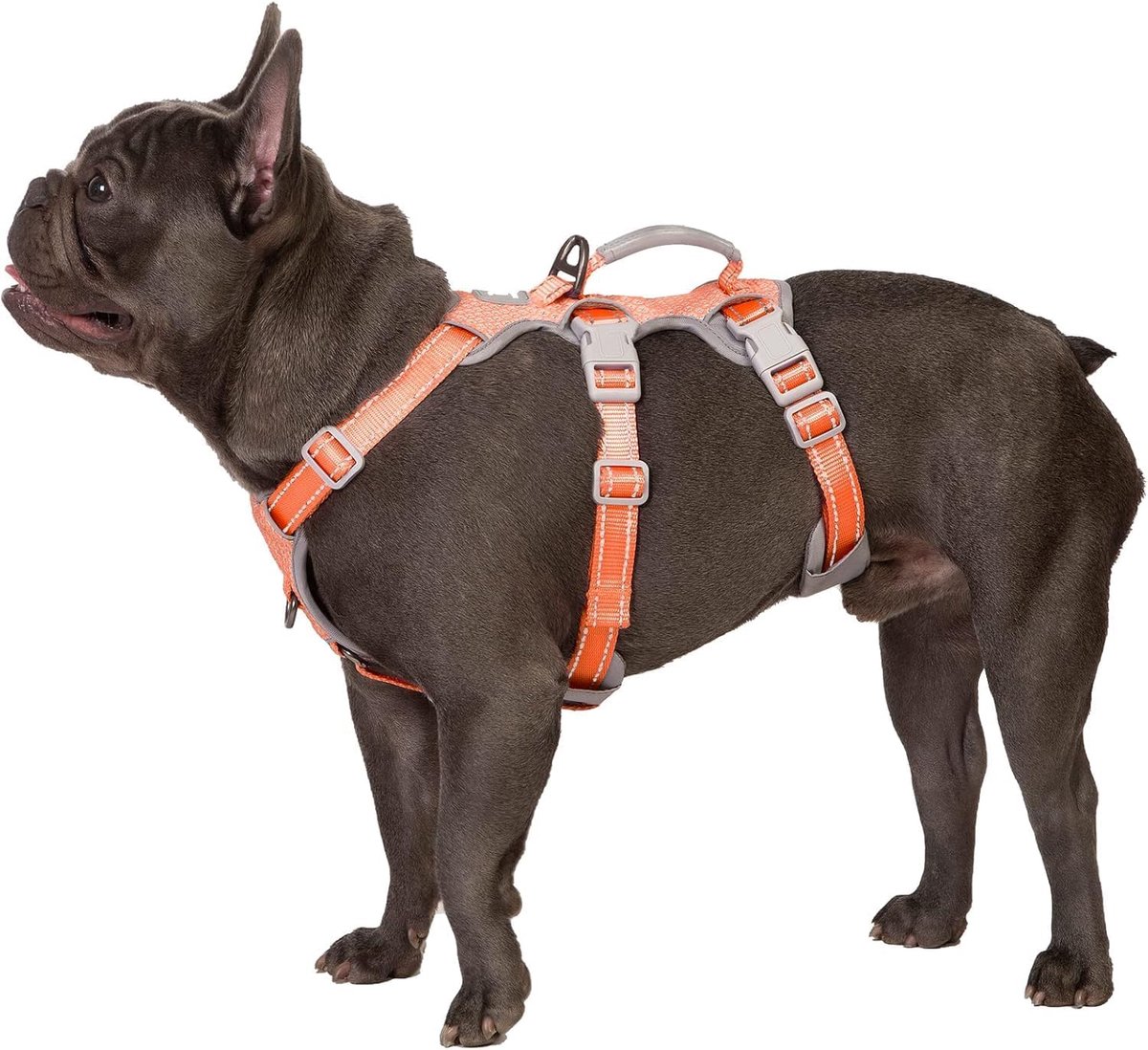 Escape Proof Harness, Geen Slip Hondenharnas Escape Proof, Volledig Reflecterend Harnas met Handvat, Ademend, Verstelbaar Vest voor Middelgrote Honden Wandelen, Running Gear (Oranje,M)