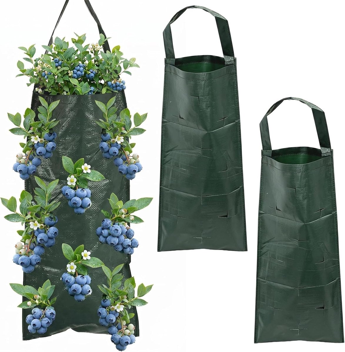 verticale plantenzak met 10 gaten, hangende plantenzak voor buiten, ideaal voor het kweken van aardbeien, tomaten en andere groenteplanten
