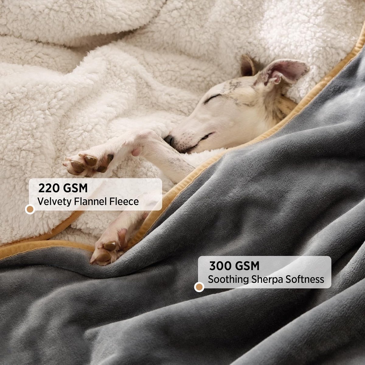 waterdichte hondendeken 100x80cm outdoor, wasbaar, bankbescherming Sherpa fleece, pluizig en zacht, crèmekleur | Hondendeken voor onderweg, middelgrote hondendeken, fleece, wasbaar, kattendeken, pluizig en zacht, voor bed, auto, outdoor