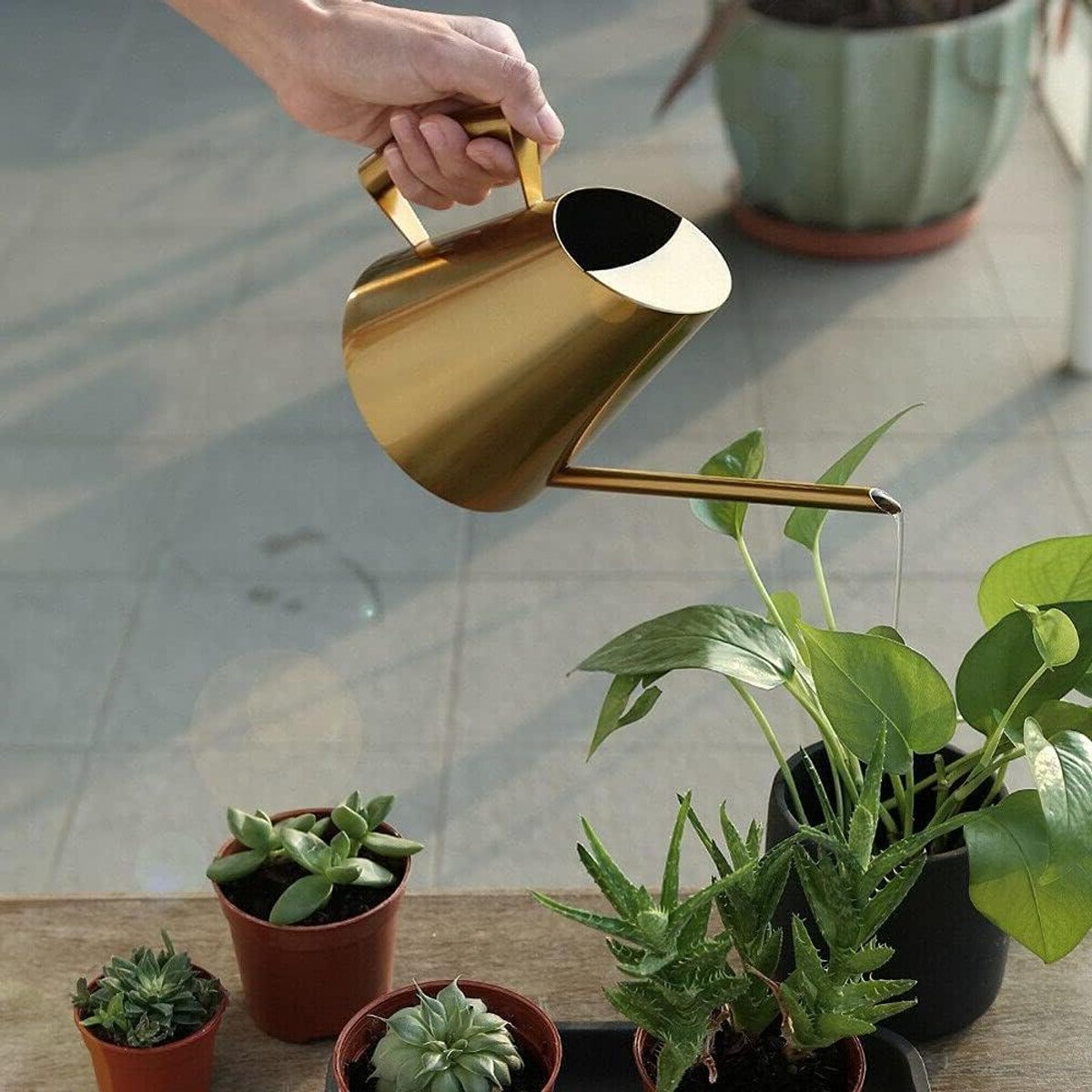 Gieter Roestvrijstaal - Planten Gieten Kan - Planten Verzorgen - Lange Smalle Tuit - 1500 ml - Zilver