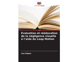 Évaluation et rééducation de la négligence visuelle à l'aide du Leap Motion