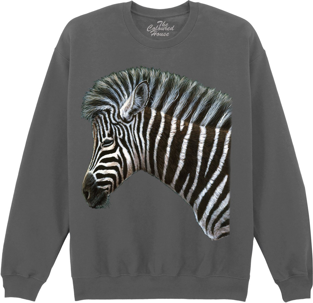 Zebra Foal The Coloured House Sweater M