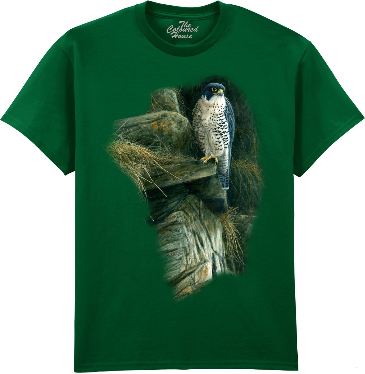Slechtvalk Peregrine Rock The Coloured House T-shirt S