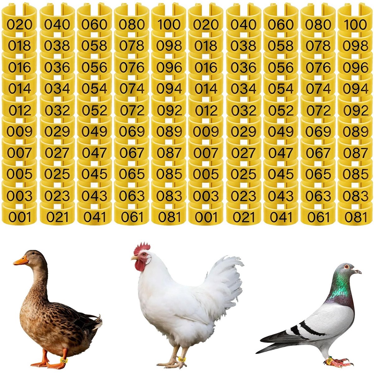 Solidchoice - 100 Stuks Gevogelte Voetringen voor Identificatie