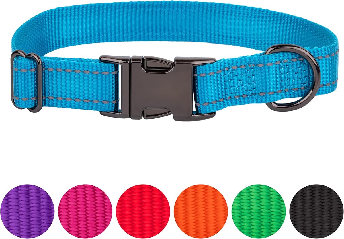 hondenhalsband, nylon, verstelbare hondenhalsband voor honden, kliksluiting, halsband voor kleine honden, puppyhalsbanden (blauw, S)