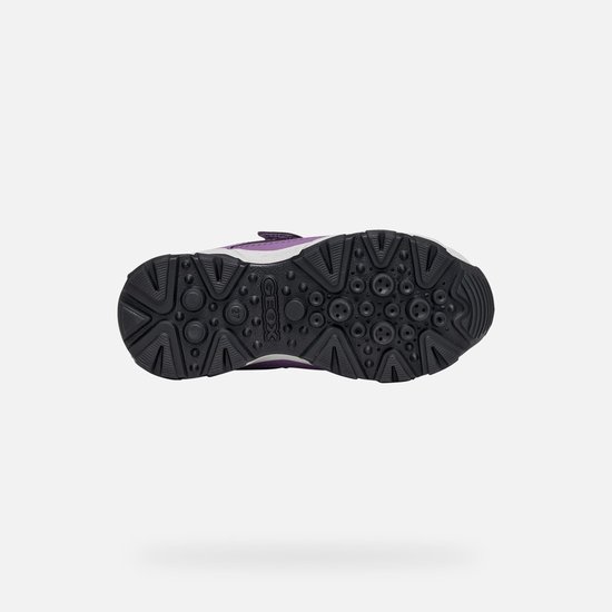 GEOX Sneakers -