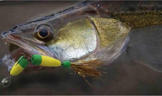 Foamshad Oranje-Geel + Red Head 13 gram Shad Dressuurdoorbrekend Snoekbaars Snoek Kunstaas — afbeelding 2