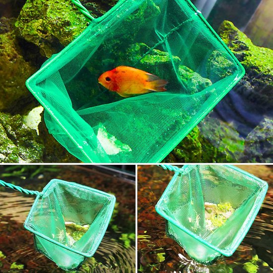 2 stuks aquariumnet, schepnet voor aquarium, fijnmazig visnet, scheurvast nylon visnet voor kleine vissen, met kunststof handvat, groen, 12 x 10,5 cm — afbeelding 2