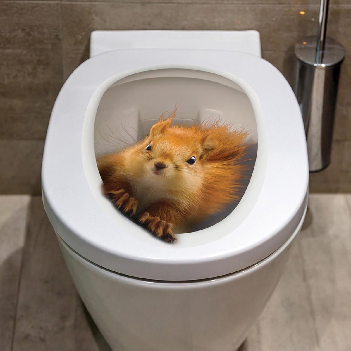 3D eekhoorntje toiletbril-sticker – grappige dierendesign-wc-sticker van huidvriendelijk vinyl
