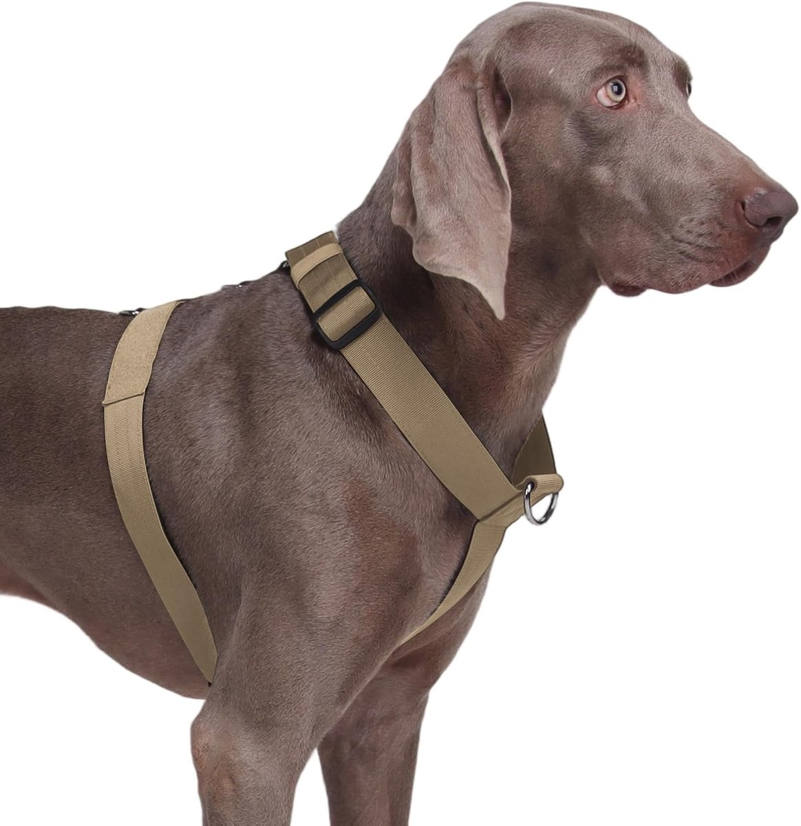 Hondenharnas voor Grote Honden, No Pull Hondentuig Verstelbaar Ademend voor Middelgrote en Grote Honden, Stevig Tactisch Harnas voor Buitentraining en Wandelen