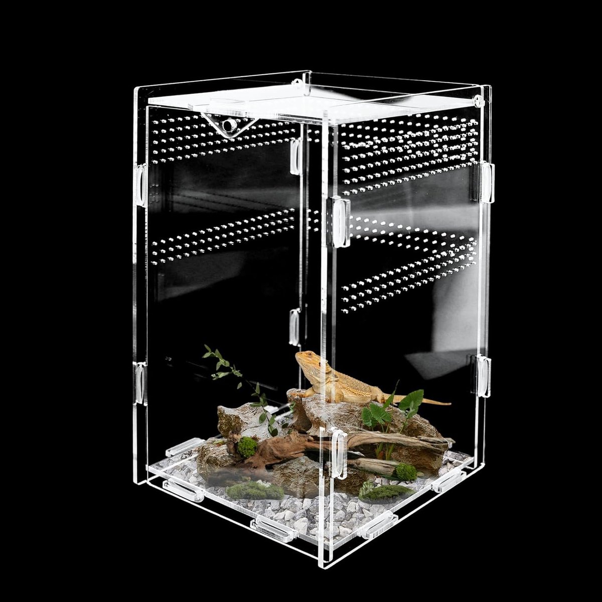 terrarium, terrarium voor spinnen, kweekbox en voederbox 12 x 12 x 20 cm, ideaal voor de voeding van reptielen en kleine dieren