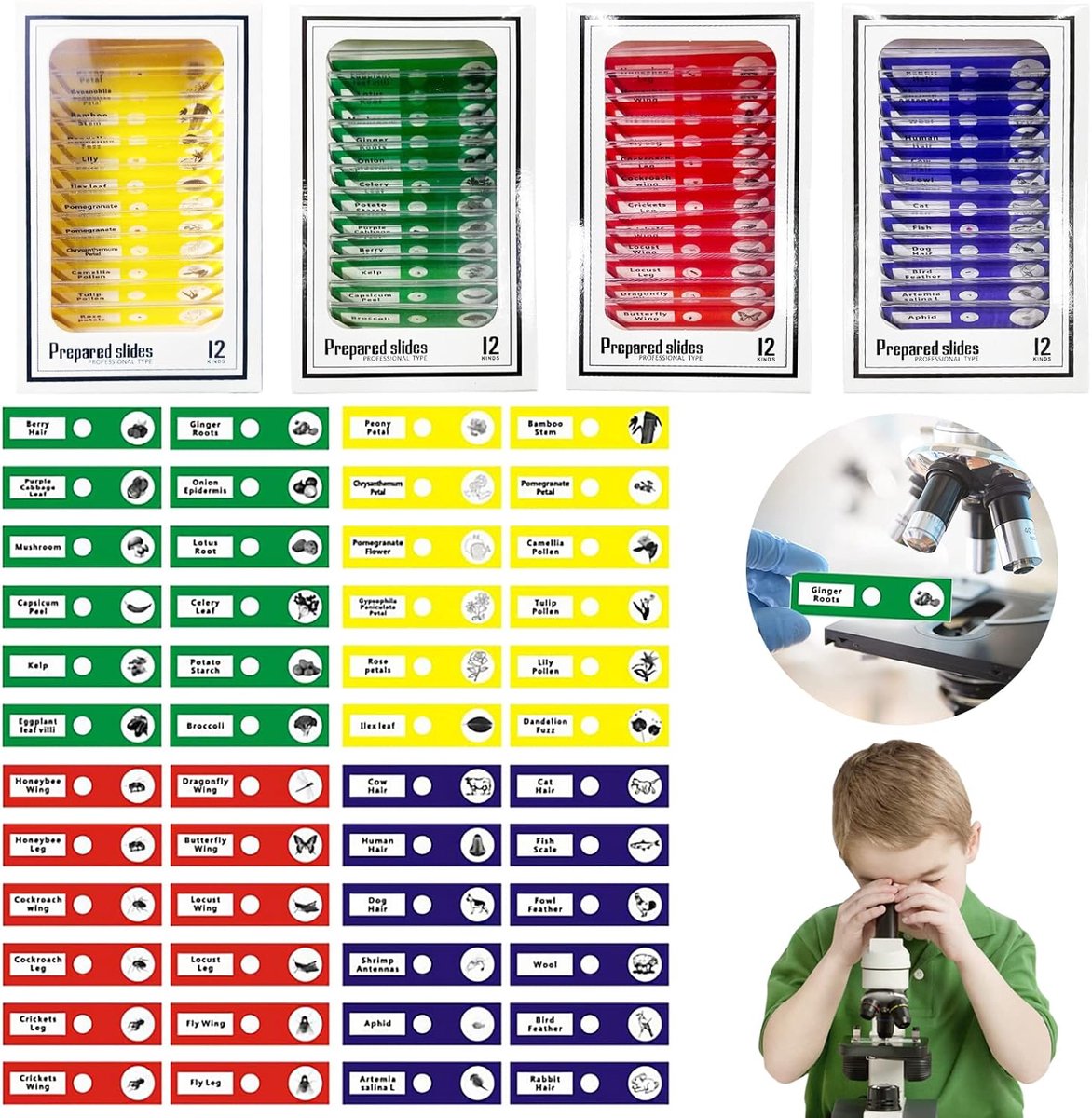 48 stuks microscoopaccessoires, microscoop objectglaasjes, biologische preparaten dieren, insecten, planten, bloemen, monsters, exemplaren, stereomicroscopen objectglaasjes, wetenschappelijke