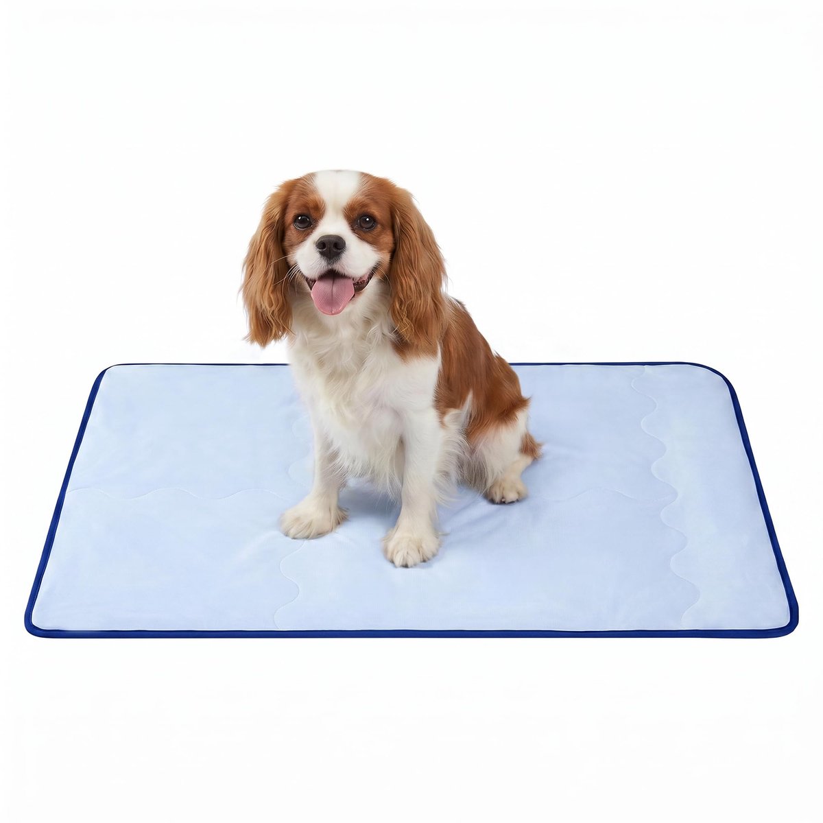 Verkoelende Mat voor Honden & Katten - 102 x 74 cm - Dubbelzijdig - Zachte Gewatteerde Vulling - Wasbaar - Lichtblauw - Voor Mand, Bank & Auto