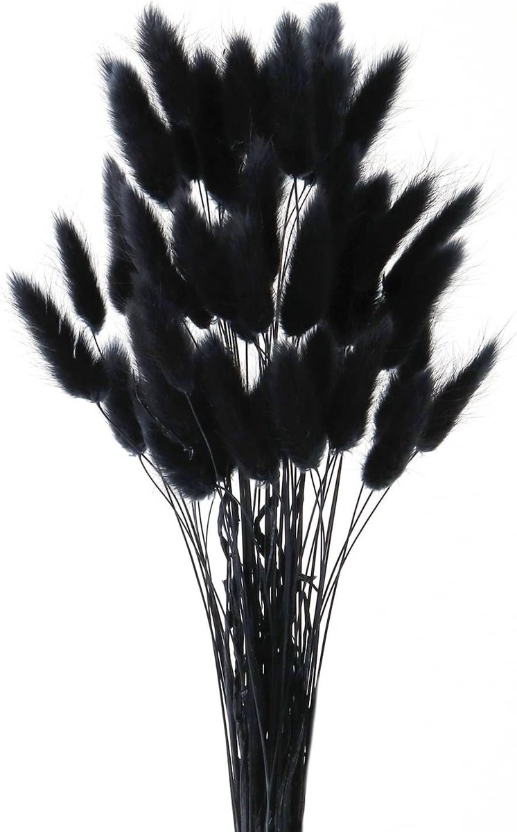 Drogere Konijnenstaartbloemen - 50 Stuks Dried Pampas Grass voor Woonkamer Decoratie en Bloemstukken