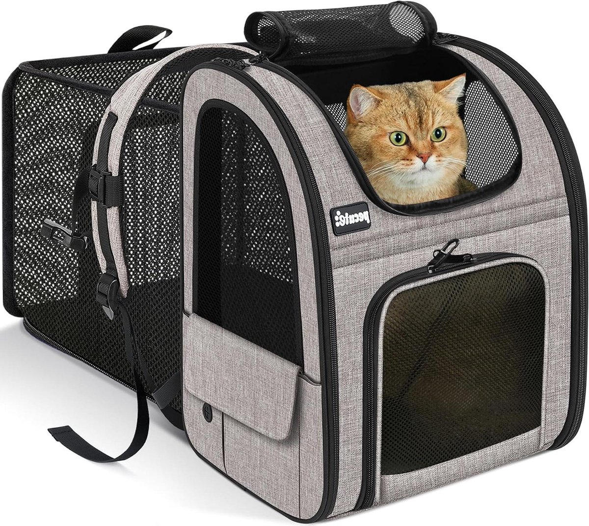 Reistas voor Huisdieren - Draagbare Rugzak - Comfortabel Reizen - Uitbreidbaar Ontwerp - Max 8 kg - Grijs