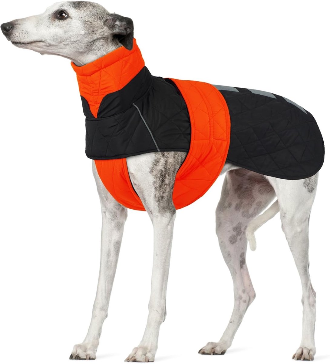Warme Winterjas voor Lurcher en Saluki, Waterdichte Hondenjas met Reflecterende Strepen, Ideaal voor Grote Honden met Diepe Borst