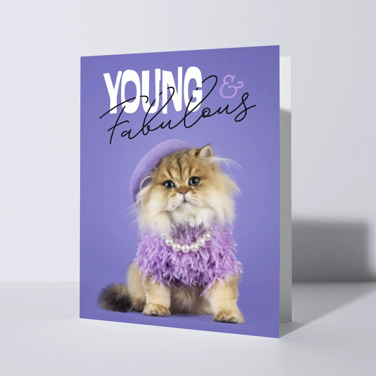 CAT'CHY Cards - wenskaart - verjaardag - kat - paars