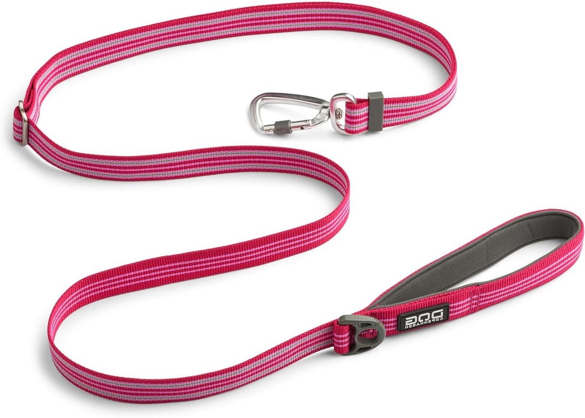 Hondenriem - Hondenlijn Flexibel - Veilige Wandelingen - Verstelbare Lengte - 115-200cm - Roze
