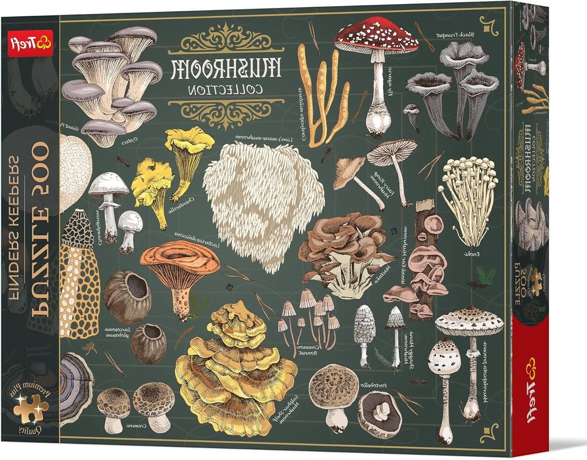 Legpuzzel Paddestoelen - Puzzel Volwassenen - Ontspanning Thuis - Perfect Passende Stukjes - 48 x 34 cm - Multicolor