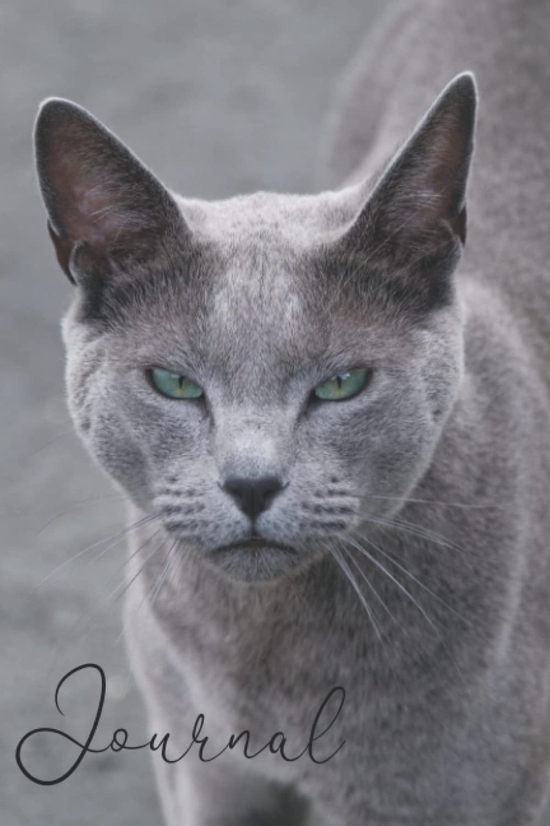 Smokey: Lined Notebook