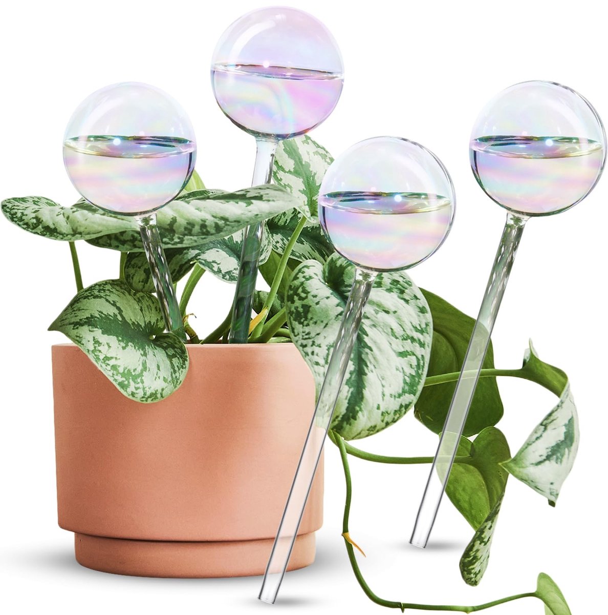 Omgoods - Zelfbewateringssysteem voor Planten - 4 Stuks Glazen Spikes met Regenboogkleur